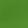 رنگ روغن وستا 37 میل - 11 Chrome Green
